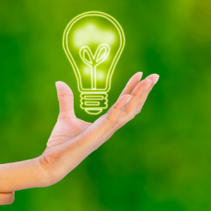 lampadina eco